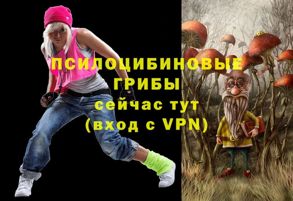 ГАЛЛЮЦИНОГЕННЫЕ ГРИБЫ Заводоуковск
