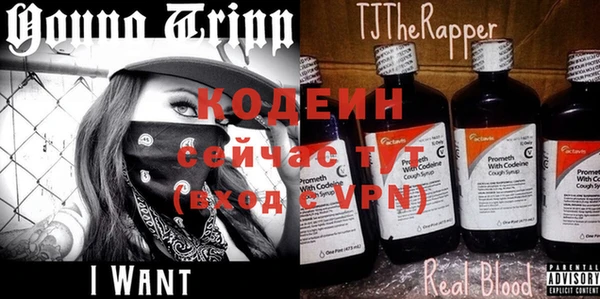 ГАЛЛЮЦИНОГЕННЫЕ ГРИБЫ Заводоуковск