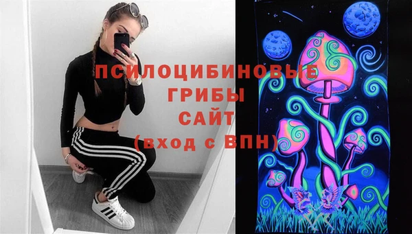 ГАЛЛЮЦИНОГЕННЫЕ ГРИБЫ Заводоуковск