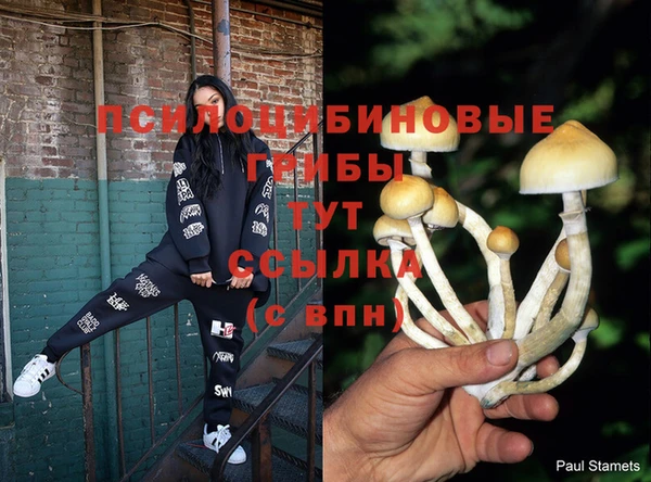 хмурый Заволжск